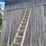 aluminum-extension-ladder-image-4