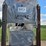 #2020-•-grey-10,000-lb-two-post-automotive-lift-image-3