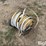 southwire-#4-awg-submersible-water-pump-wire-image-5
