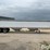 2002-wilson-grain-trailer-image-4