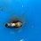 seed-spreader-image-3