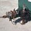 2016-pioneer-pp44s10l71-image-22