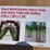 black-metal-garden-heavy-duty-arch-arbor-trellis-with-stakes-image-2