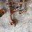 chain-binder-ratcheting-image-12