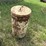 allis-chalmers-unit-planter-seed-boxes-(4)-image-5