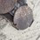 manhole-culvert-grate-&-covers-image-11