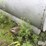 1,000-gal-fule-tank-w/-pump-image-11