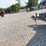 unused-big-tex-14'-dump-trailer-image-14