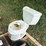 toilet-image-1