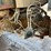 gvm-prowler-t325-image-42
