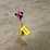#182-•-ostrich-image-6