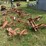 allis-chalmers-2-row-cultivator---off-d15-image-2