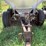adams-8-ton-lime-spreader-image-3