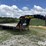 2019-big-tex-22gn-20bk-5mr-image-3