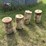 allis-chalmers-unit-planter-seed-boxes-(4)-image-1