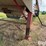 2011-timpte-grain-trailer-image-18