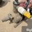 honda-4-stroke-gas-powered-portable-water-pump-image-11