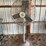 large-lasko-shop-fan-image-1