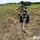 p-k-40'-header-trailer-image-2