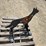 #6887-•-kit-container-metal-coyote-target-image-4