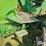 1965-john-deere-2010-image-20