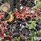 water-main-connections-&-super-lugs-image-11