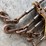 chain-binders-ratcheting-image-11
