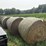 20-net-wrapped-4x5-2nd-crop-alfalfa/grass-mix-image-1