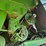 1998-john-deere-9610-image-16
