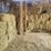 (50)-small-square-bales-of-1st-cutting-hay-in-2025-image-4