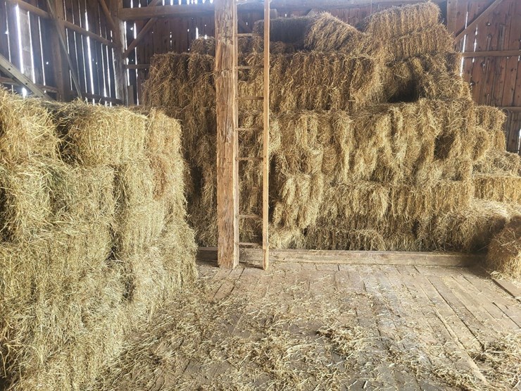 (50)-small-square-bales-of-1st-cutting-hay-in-2025-image-4