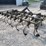 12'--3pt-hitch-field-cultivator-image-5
