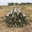 fencing-supplies-image-2