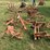 allis-chalmers-2-row-cultivator---off-d15-image-3