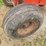 kory-185-image-5