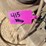 l3---solar-sprayer-image-7