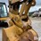 2019-caterpillar-325flcr-image-14