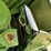 2002-john-deere-2-image-20