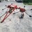 rossi-2-rotor-pull-type-tedder-image-7