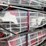 sdlool-sl-gc22s-golf-cart-image-1