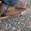 seed-spreader-image-4