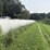 24-line-wrapped-4x5-2nd-crop-alfalfa/grass-mix-image-3