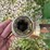 brent-420-image-10