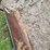 ford-3pt-hitch-grader-blade-image-9