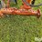 white-508-image-10