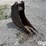 geith-12”-mini-excavator-bucket-image-3