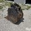 esco-24”-bucket-image-7