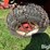 1978-massey-ferguson-1650-image-18