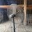 (2)-32"-livestock-fans-w/stands-and-electric-motor-image-13