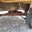 hay-wagon-w/running-gear-image-38
